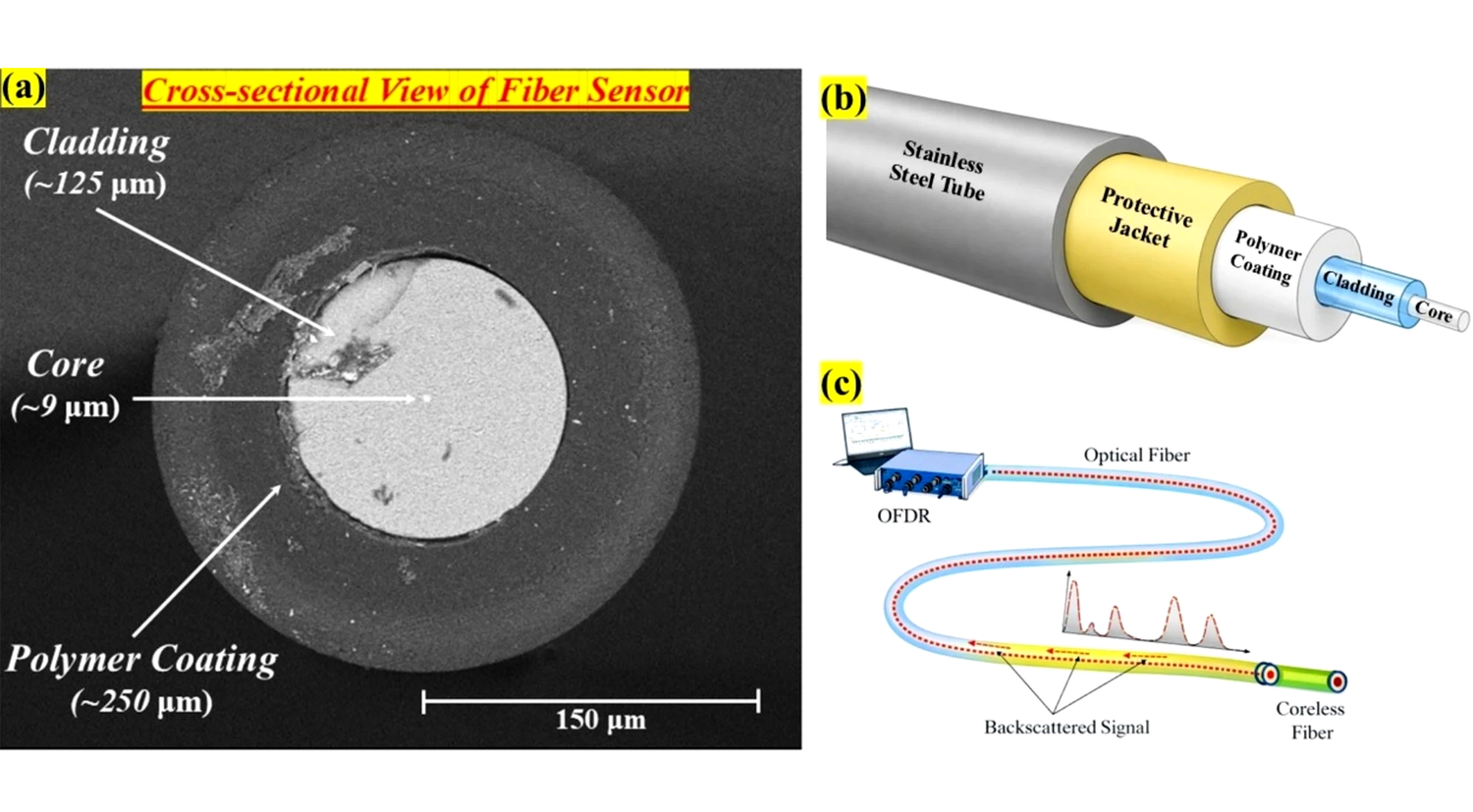 A diagram of the sensor